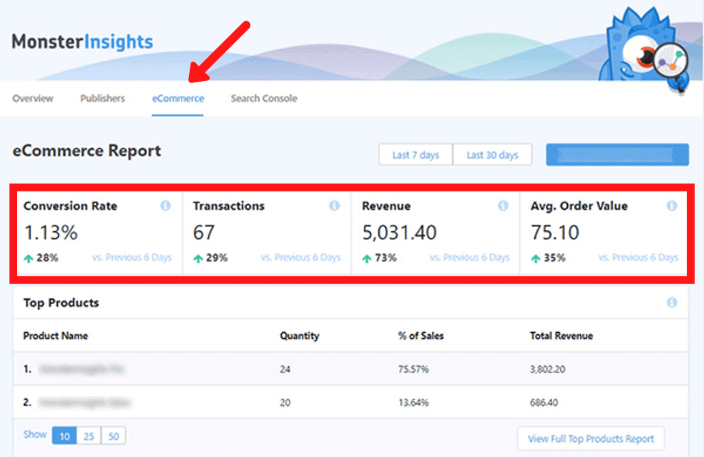 MonsterInsights eCommerce Report