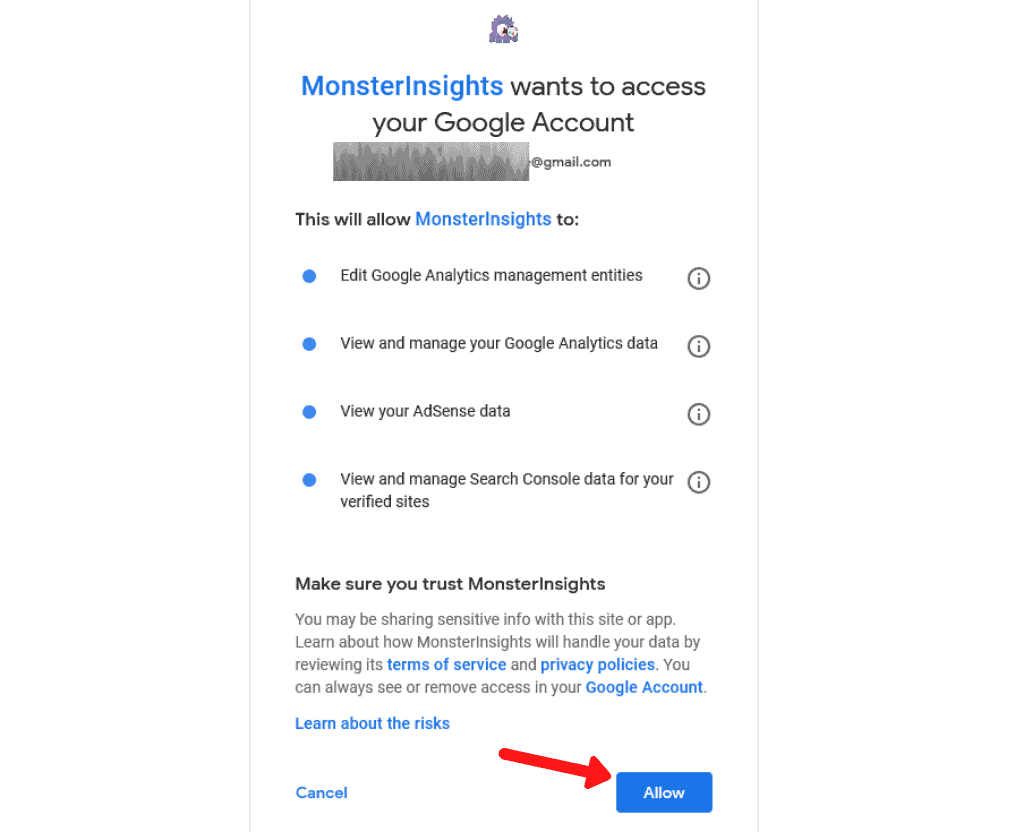 MonsterInsights Access Permission to Google Account