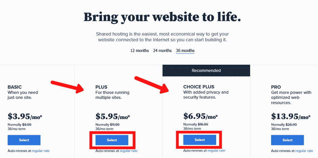 Select Your Desired Hosting Plan