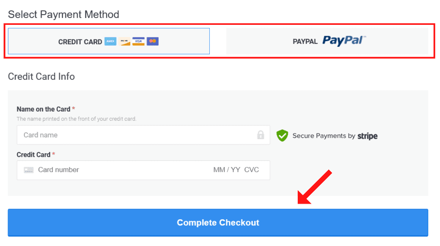 MonsterInsight Black Friday Checkout Payment Information